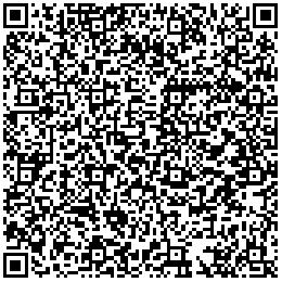 the qr code